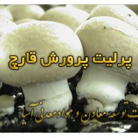 فروش پرلیت ورمیکولیت پیت ماس کوکوپیت در پرورش قارچ