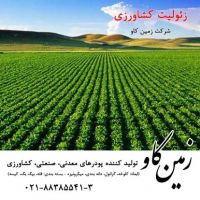 زئولیت در کشاورزی(Zeolite)