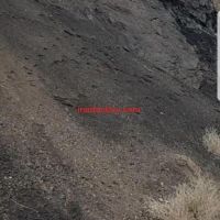 فرصت سرمایه گذاری در معدن ذغال سنگ در زرند