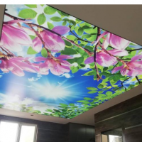 تولید کننده سقف های اسمان مجازی