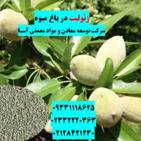 مزایای استفاده از زئولیت مواد معدنی آسیا