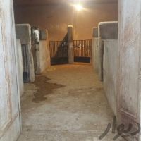 فروش دامداری و اصطبل اسب