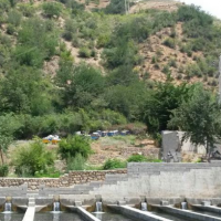 معاوضه و فروش 4000 متر مزرعه پرورش ماهی قزل آلا در علی آباد کتول