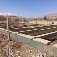 فروش پرورش ماهی در سمیرم