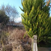 کارخانه اجر