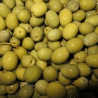 فروش عمده زیتون رودبار