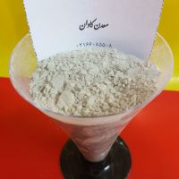 خرید دیاتومیت جهت تولید کود- فروش دیاتومیت معدن کاوان