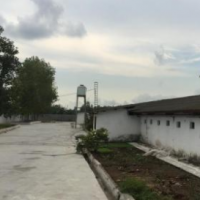 فروش 20000 متر مرغداری در آمل