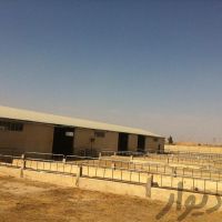 فروش گاوداری در شهریار