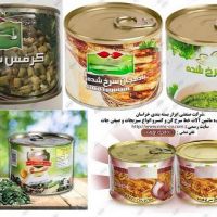 ماشین آلات تولید کنسرو صیفی جات و سبزیجات سرخ شده