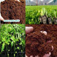 بستر نشاء  (کوکوپیت ایرانی)