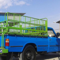 دزفول حمل هرنوع تره بار