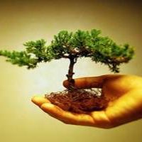 فروش اسید هیومیک