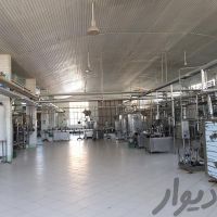 فروش کارخانه لبنیات در مشهد