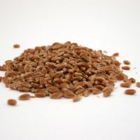 فروش انواع آرد صارداتی