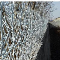 تولید و پخش انواع حفاظ شاخ گوزنی