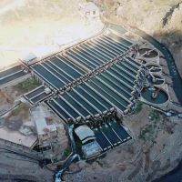 فروش پرورش ماهی در کرمانشاه