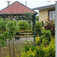 فروش کارخانه  چای رشت