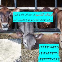 فروش کربنات کلسیم در تهیه خوراک دام و طیور