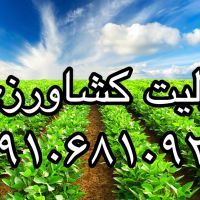 فروش پرلیت کشاورزی