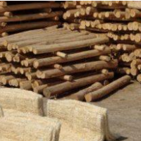 جذب سرمایه گذار در رفسنجان