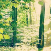 فروش 1350متر زمین در دماوند