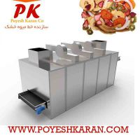 خط تولید و بسته بندی میوه خشک (چیپس میوه)