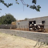 فروش دامداری وباغ در ارومیه