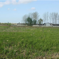 فروش 5600 متر زمین با مجوز تالار عروسی  در بندرانزلی