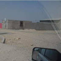 فروش 1575 متر دامداری صنعتی در هفتکل اهواز