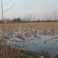 فروش 8000 متر زمین جهت سوله یا تالار در آستانه اشرفیه