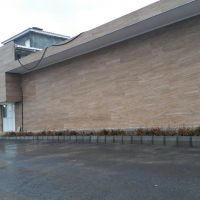 فروش کارخانه قارچ دکمه ای