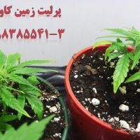 پرلیت کشاورزی و باغبانی Perlite