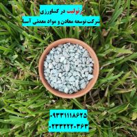 فروش زئولیت در باغ کشاورزی