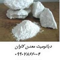 فروش دیاتومیت -خرید دیاتومیت diatomite