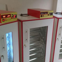 تولید ماشین جوجه کشی در زاهدان