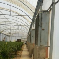 فروش یا اجاره 5225 متر گلخانه در تهران