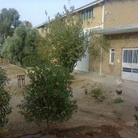 فروش کارخانه تولید دستمال کاغذی در اهواز