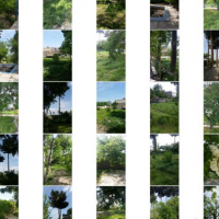 2558 متر ملک فروشی در مشهد