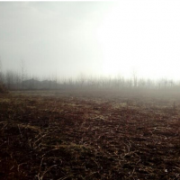 فروش 9000 متر زمین جهت ساخت تالار در صومعه سرا