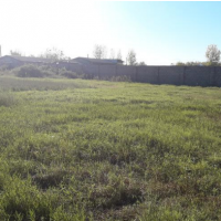 فروش 3275 متر زمین دارای مجوز گردشگری و هتل در بندرانزلی