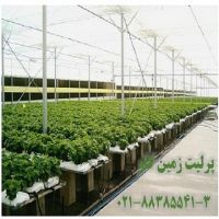 مزیت های استفاده از پرلیت در کشت هیدروپونیک Perlite