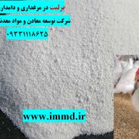 فروش پرلیت در دامداری