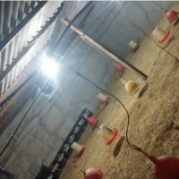 فروش یا معاوضه سالن پرورش مرغ در مسجد سلیمان