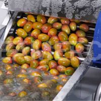 سازنده خط تولید ترشی انبه سیمرکو تهران