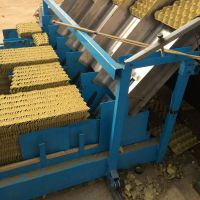 واردات و فروش و نصب و راه اندازی خط تولید شانه تخم مرغ