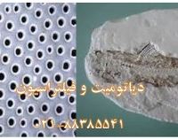 دیاتومیت و فیلتراسیون مواد DIATOMETE