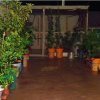 فروش 380 متر کارگاه در میانرود شیراز