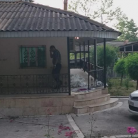 معاوضه یا فروش 2805 متر پرورش ماهی قزل آلا در تهران