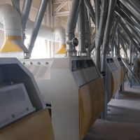 فروش کارخانه آرد با 700 تن سهمیه گندم